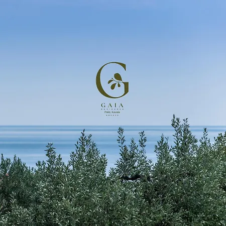 Gaia Residence PalaiónTsiflíkion Zewnętrze zdjęcie