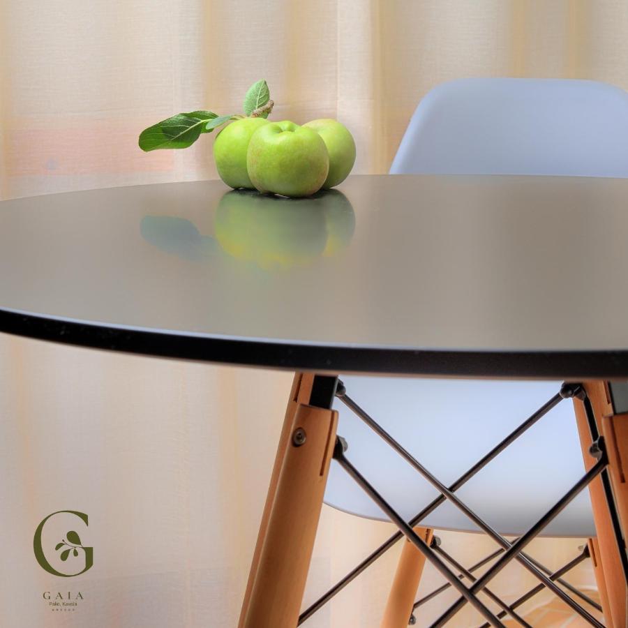 Apartment Gaia