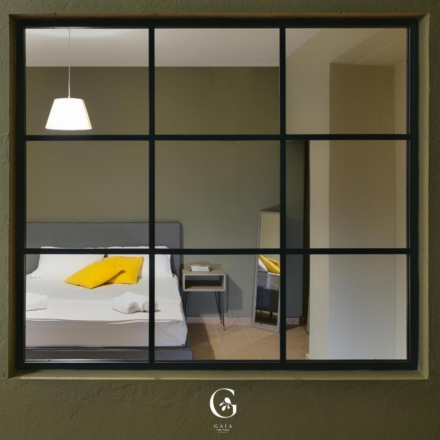 Apartment Gaia Palaiontsiflikion