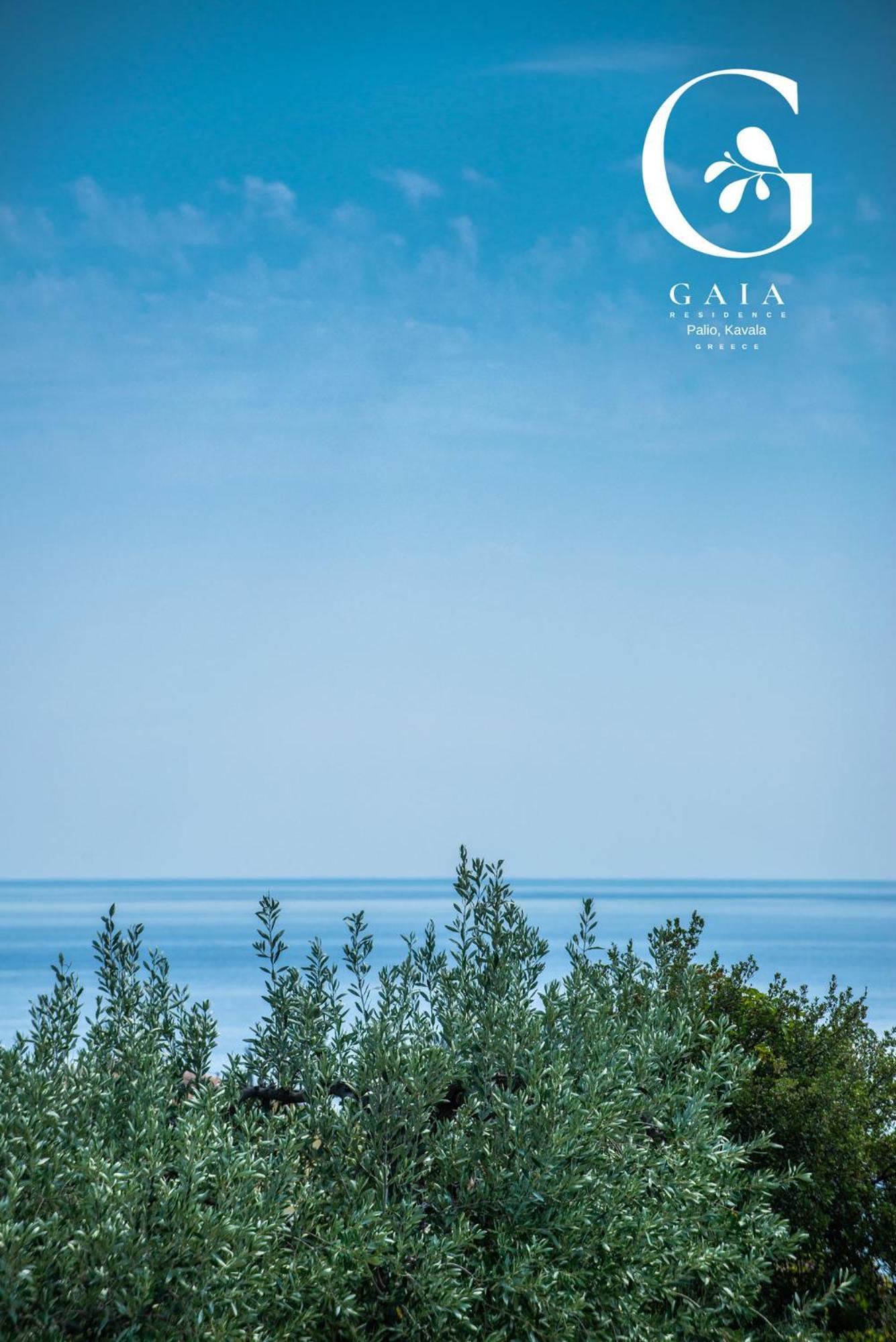 Gaia Apartment *
