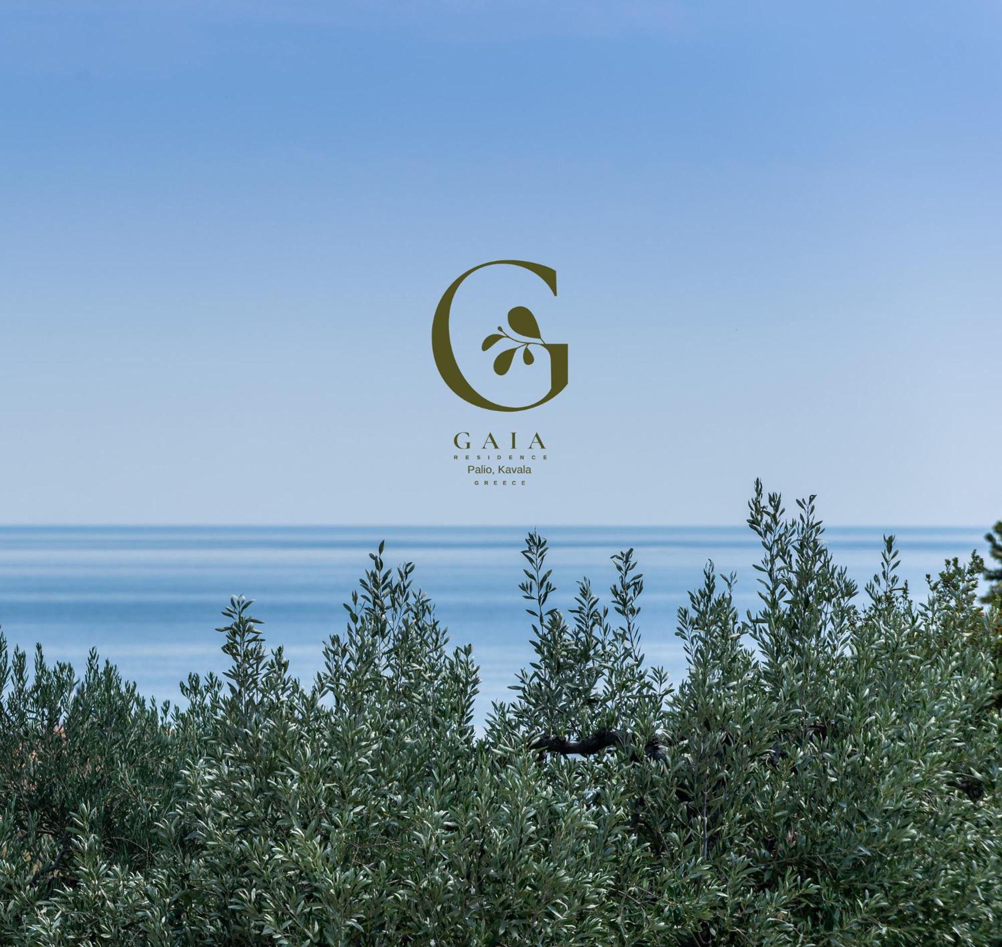 Gaia Palaiontsiflikion